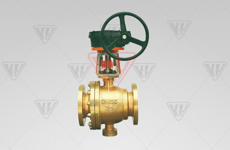 Oxygen worm gear ball valve