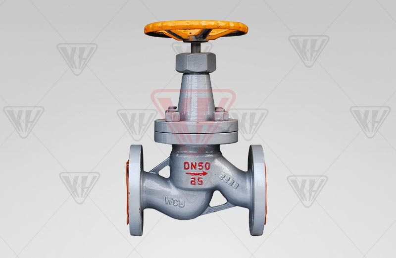 Globe dark globe valves