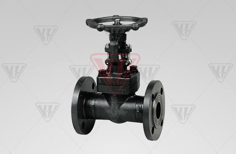 GB forged steel flange valve